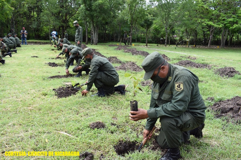 EJERCITO